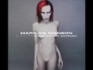 MARILYN MANSON Mechanical Animals Grey Coloured Vinyl Import 2 LP New & Sealed