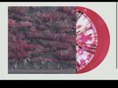 Sleep Token Even In Arcadia Liquid Filled Pink/Black  Vinyl LP (Bad World)