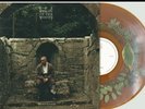 Dermot Kennedy - The Weight Of The Woods (Woodland Vinyl) in hand - Ltd edition