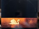 Van Morrison / Avalon Sunset LP   Mercury 839262
