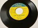 The Crystals 1954 DOO WOP 45 Come To Me Darling / Squeeze Me Baby LUNA VG++ HEAR