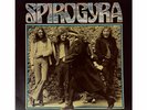 SPIROGYRA - NEAR MINT UK 1st PRESS St. Radigund's LP FOLK/PSYCH 1 Play Copy?