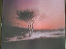 Joji - Piss In The Wind - RUBY BLACK Vinyl LP (NM) Not Played =Poster MINT