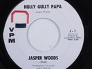 R&B Soul Mod Popcorn 45 JASPER WOODS Hully Gully Papa VPM HEAR f