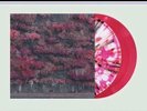 Even In Arcadia Sleep Token Blood Records Liquid Filled - In hand