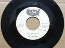 THE SHADOWS – No Other Love B/W My Love Is Gone PROMO 7