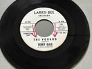 Garage Rocker 45 Terry Gale - The Voodoo/Just 15 * Larry Bee Promo