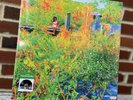 Jhene Aiko Picture Disc - Trip 2LP Limited /2000 Record Store Day RSD - RARE
