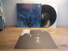 AMON DÜÜL PHALLUS DEI 1969 w/  INSERT (KRAUTROCK) NM LP