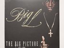 Big L - The Big Picture (SEALED OG) RAWKUS, DJ PREMIER, TUPAC SHAKUR, KOOL G RAP