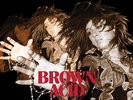 Various Artists - Brown Acid - The Twenty-Second Trip (Various Artists) [New Vin