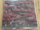 Sleep Token Limited | Even In Arcadia 2026 | Pink Liquid 2LP Splatter |