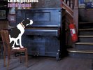 Various Artists Late Night Tales: Jamiroquai (Vinyl) 12