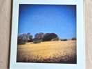 Sun Kil Moon - Benji 2014 Ltd Edition Clear Double Vinyl, Nr Mint,  Mark Kozelek