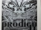 Prodigy.  Charly.  12 inch single vinyl. XLT21.
