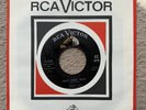 Bobby Day - Pretty Little Girl Next Door / Buzz, Buzz, Buzz 7” Single 45