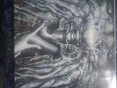 OG First Press DANZIG HOW THE GODS KILL, Vinyl.