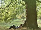 John Lennon / The Plastic Ono Band - John Lennon / Plastic Ono Band (Box Set) (N