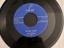45 Rare Tennessee Rockabilly Carl Miller Rhythm Guitar Lu 503