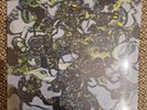 The Caretaker ‎– Everywhere At The End Of Time - Stage 3 / Vinyl LP