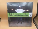BIG L Harlem's Finest Monster Lime Green Color Vinyl LP NEW record fatbeats