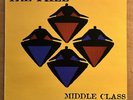 THE FALL Middle Class Revolt PERMANENT PERMLP16 VINYL LP NM
