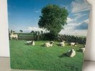 The KLF Chill Out LP 1990 Ambient/Electronic/Techno Rare USA Press Vinyl Record