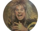 Ozzy Osbourne Picture Disc LP Trick Or Treat Records Blizzard Of Ozz Era Vinyl