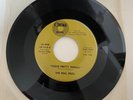 The Real Pros   Those Pretty Things & Just Go On Wishin 45 Cinema 1974 Soul EX