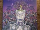 Erykah Badu - New Amerykah Part Two (Return of the Ankh) , Vinyl LP