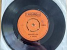 The Jamaicans - Dedicated To You - Rare Trojan Ska Reggae