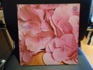 STILL LIFE - S/T - 1st PRESS - UK - SWIRL