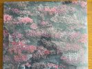SLEEP TOKEN Even In Arcadia - Pink Liquid Filled 2LP Vinyl - Bad World Records