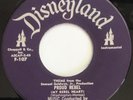 CAMARATA Proud Rebel 45 Disneyland — VG++ | unknown?