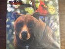 Banjo Kazooie OST Soundtrack N64 2xLP Color Vinyl Record Set Iam8bit Limited