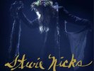 Stevie Nicks The 24 Karat Gold Tour: Live in Concert (Vinyl) 12