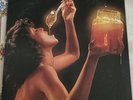 Ohio Players HONEY 1975 MERCURY VINYL LP - GATEFOLD SRM-1-1038