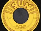 SLIM RHODES: do what i do / take and give SUN 7