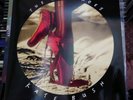 Kate Bush Red Shoes Reissue