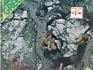 Original Green Lp On Atco SD 33-282