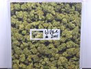 Dr. Dre 2001 Limited TRANSLUCENT GREEN MARBLE Anniversary Edition 2LP Vinyl