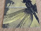 2002 - Coheed And Cambria | The Second Stage Turbine Blade LP - 2002 | Defiance