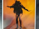 The Last Shadow Puppets - Everything You Come To Expect - 2016 LP & 7