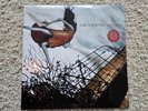 Circa Survive Juturna Vinyl LP Record Orange White Swirl w Blue & Black Splatter