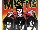 MISFITS EVILIVE LP Vinyl 1987 Plan 9 PL9-08 US Punk Rock 1ST PRESSING VG+