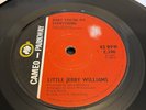 Little Jerry Williams 7” 45.Baby You’re My Everything/Just What Do You Plan 1966