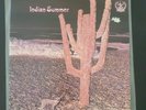 INDIAN SUMMER Indian Summer UK original vinyl LP RCA Neon NE3 1971