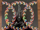 Tool - Lateralus Picture Disc 2 x LP ***Signed by Alex Grey***
