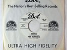 Surf 45 - Surfaris - Search - Dot - VG++ promo