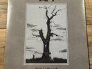 AFI Caught Sky Blue Colored 7” Vinyl 45 RPM, Single Sided Etched Sealed OOP